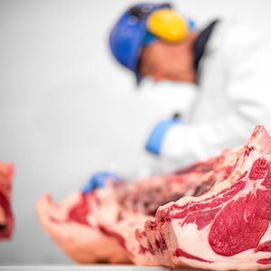 Beef & Lamb