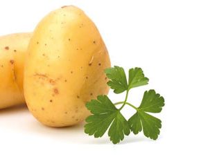 Potato