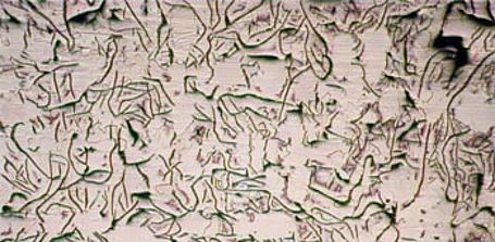 Unibar 200