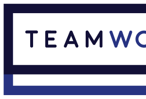 Company icon