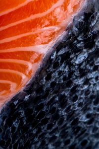 Fresh fish