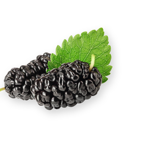 Black Mulberry