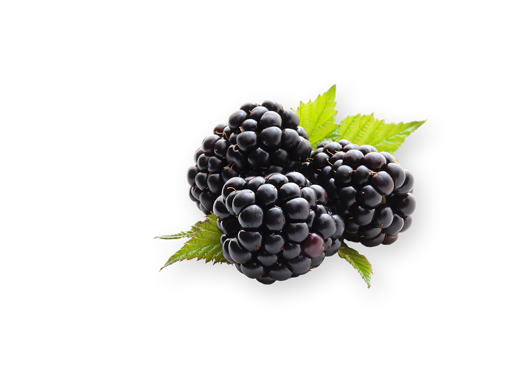 Blackberry