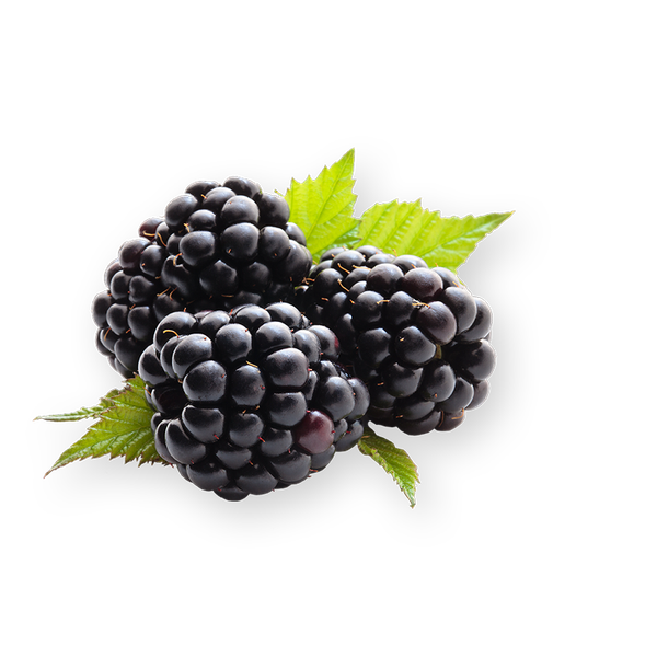 Blackberry