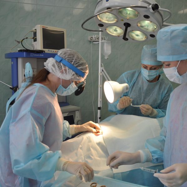 medical apparel