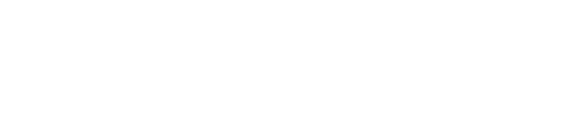 W M SYSTEM logo