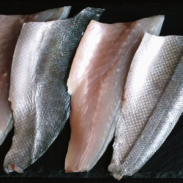frozen seafood