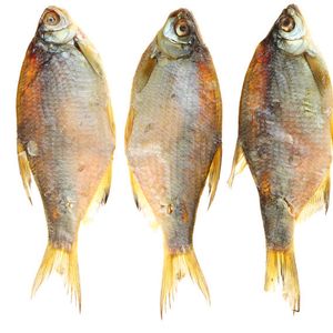 frozen seafood