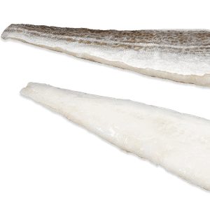 Frozen Fish Fillet
