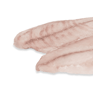 Frozen Fish Fillets