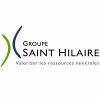 Company icon