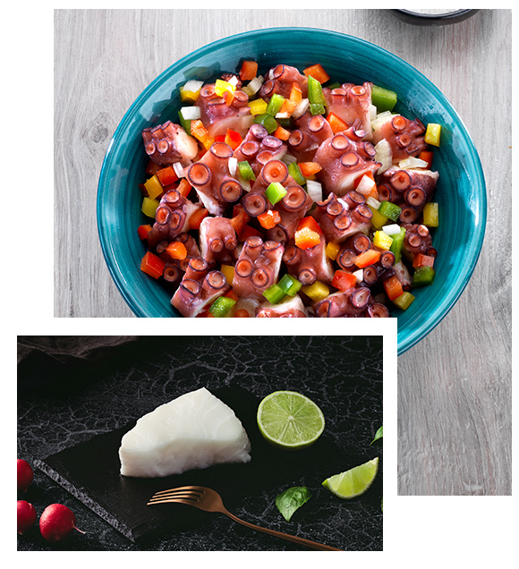 Pulpo y Seabass