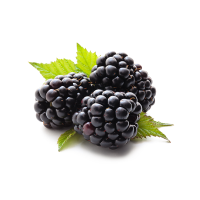 BLACKBERRY