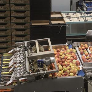 Peaches and Plums