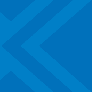 Company icon