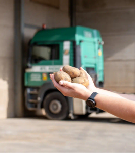 Premium Potato and Onion Solutions – RTL Patat