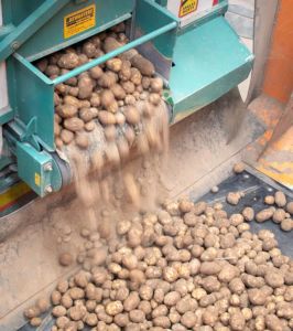Global Supplier of Top-Quality Potatoes and Onions – RTL Patat