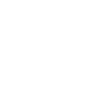 Company icon