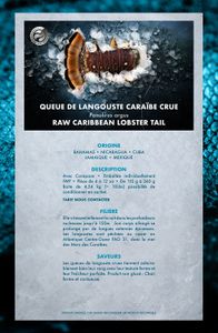 LANGOUSTE