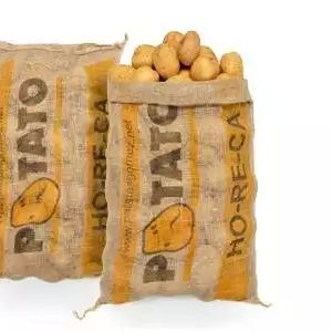 Patata Gran Consumo