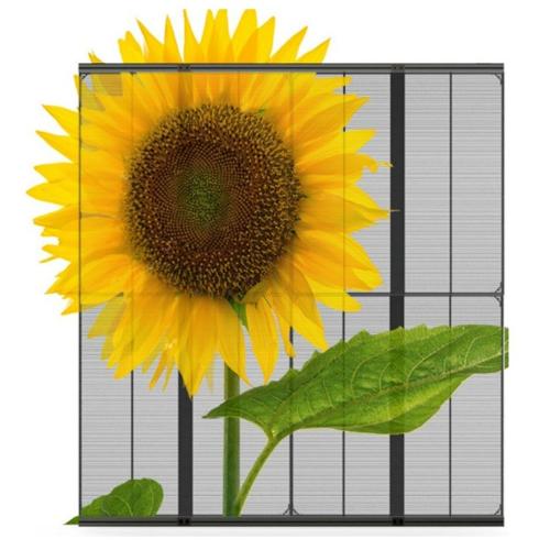 Transparent LED wall for stores and showrooms - holographic effects, 3D, and semi-transparent with glass LED walls