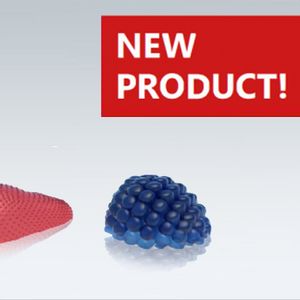 Starchless molding machine