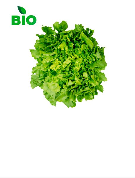 Lettuce