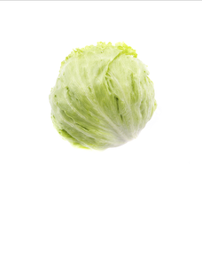 Iceberg Lettuce