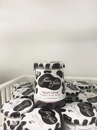 Yogurt with Jam - Fruit Coulis Yogurt