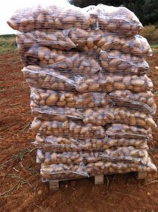 Potatoes for Daily Consumption