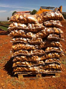 Potatoes for the Food Industry