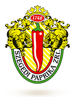 Company icon