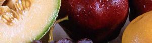 fruits and vegetables