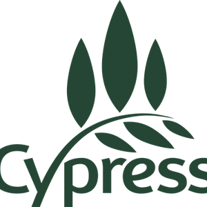 Company icon