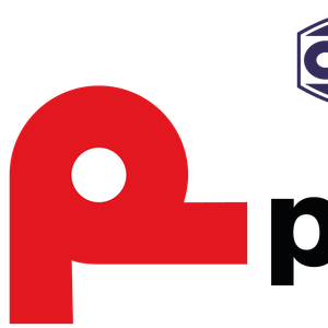 Company icon