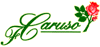 F. CARUSO & C. SAS logo