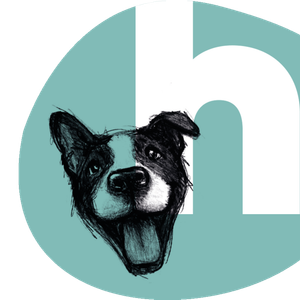 Hundefutter