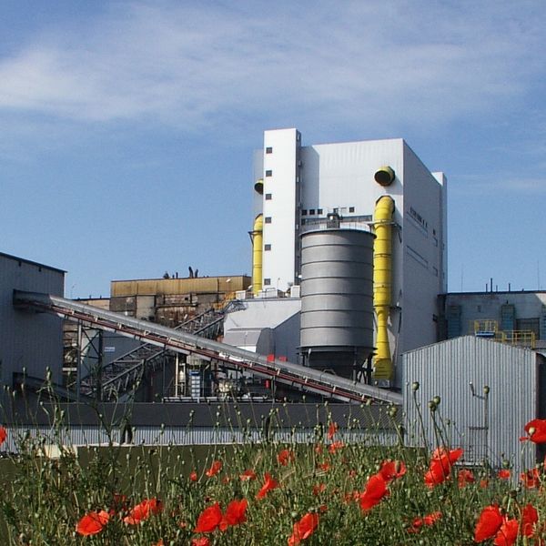 cvpkjnvm90ps738cn5pg.jpg