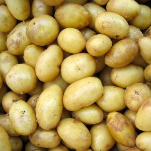 Potato pellets