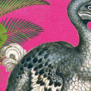 Natural History Museum Gift Stationery and Greeting Cards from Museums & Galleries