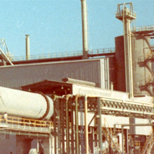 complete lime plants