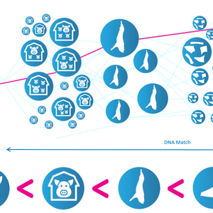 DNA-traceability