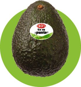 Aguacate