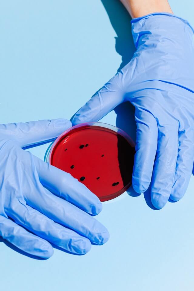 PRIME LAB S.R.L. Rapid diagnostic tests