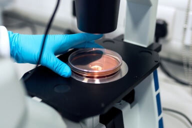 PRIME LAB S.R.L. COVID-19 rapid tests