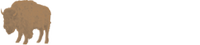 Company icon