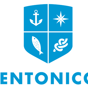 Company icon