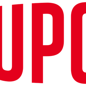 Company icon