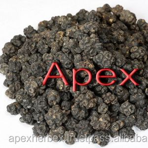 Morinda Citrifolia Noni Fruits Premium Quality Natural Dried Pesticide Free organic Apex India