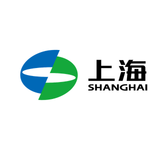 Company icon